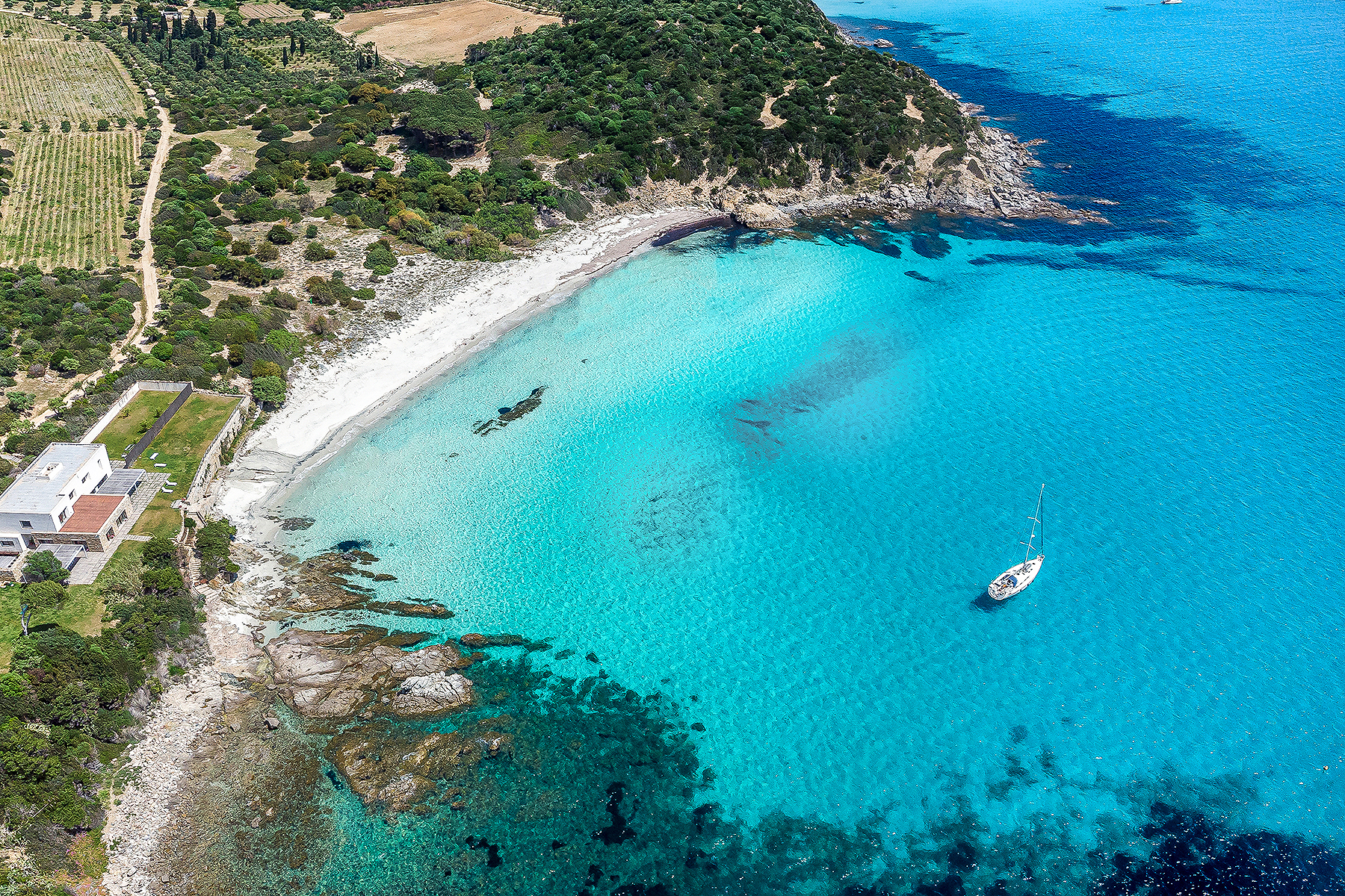 Spiaggia Cuccureddus - Fiore Di Maggio