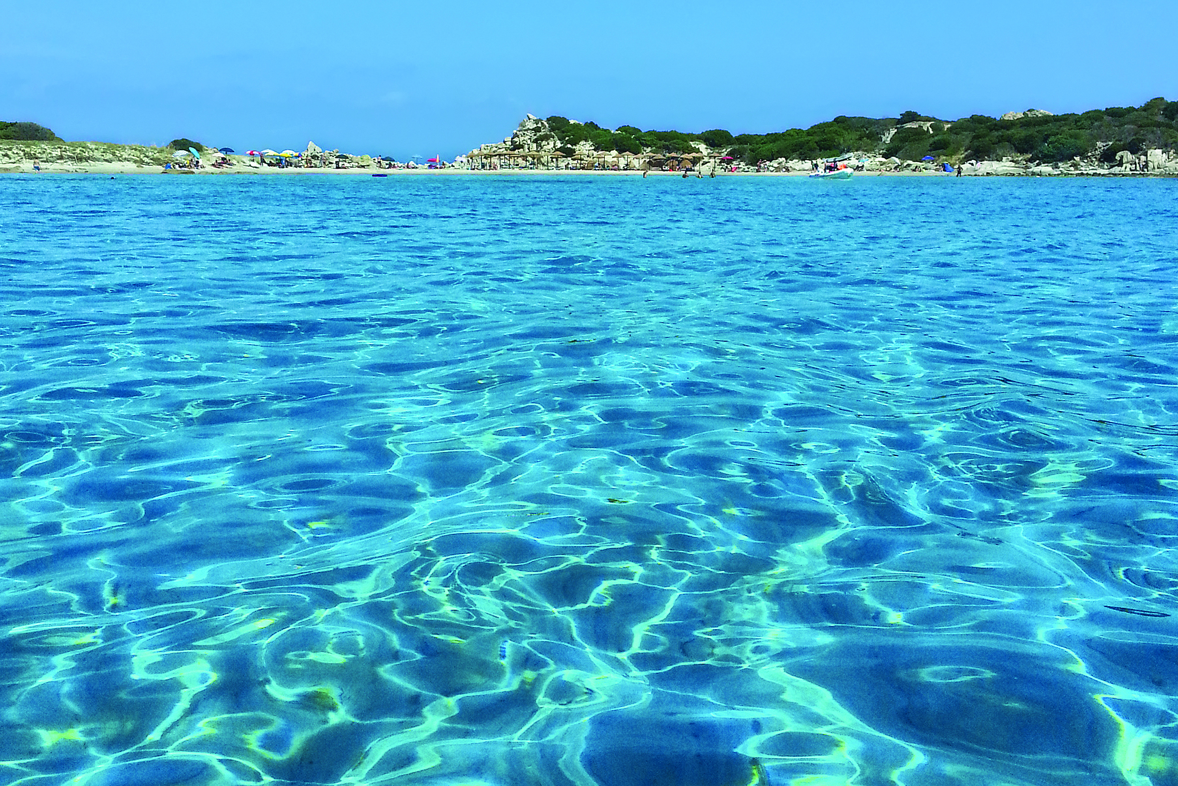 Spiaggia Punta Molentis - Fiore Di Maggio